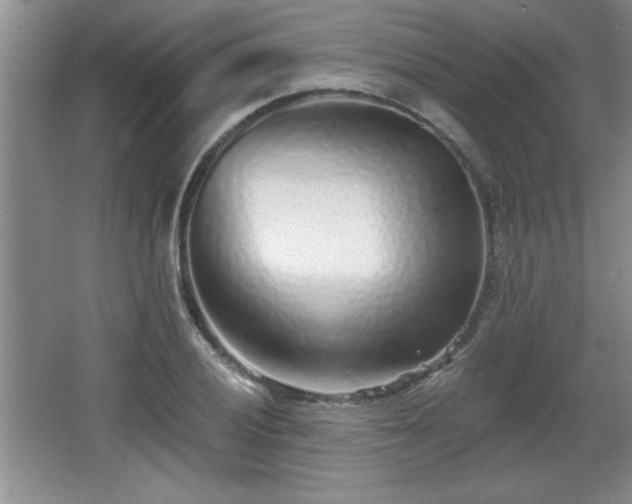 X0000065951028200603061119
