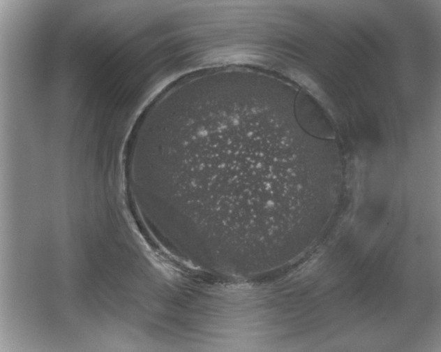 X0000065951031200603061119