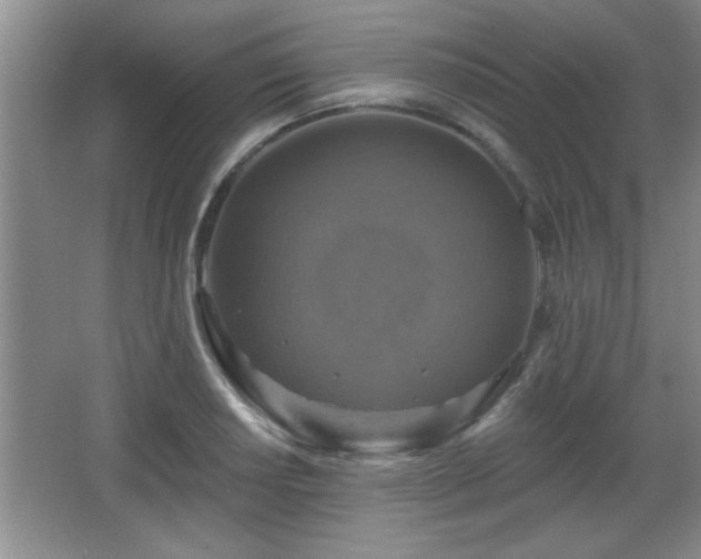 X0000065951034200603061119