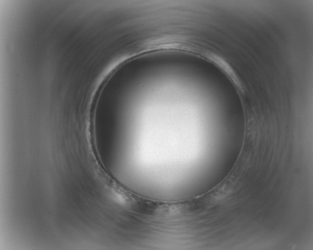 X0000065951051200603061119