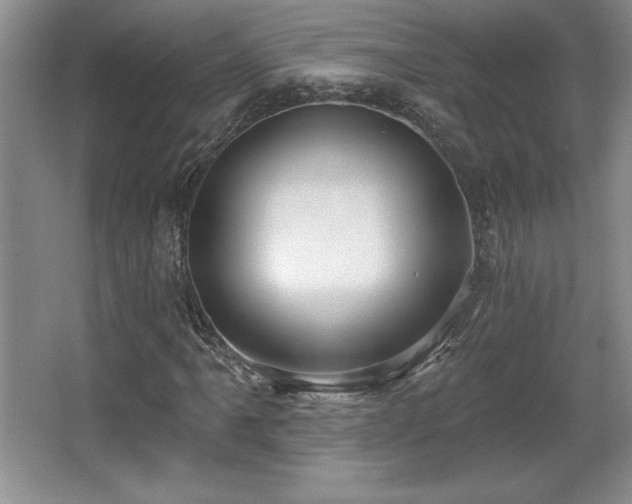 X0000065951061200603061118