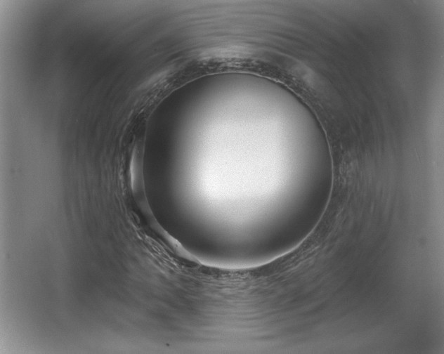 X0000065951062200603061118