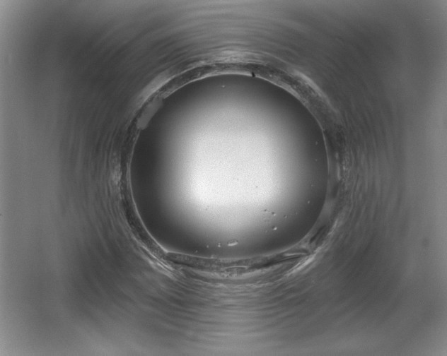X0000065951065200603061118