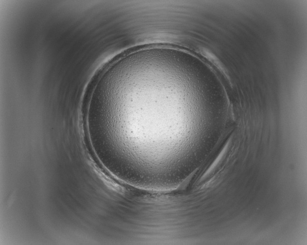 X0000065951072200603061118