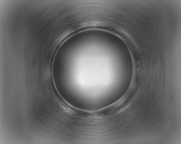 X0000065951073200603061118