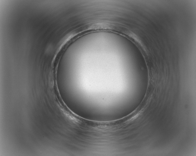 X0000065951075200603061118