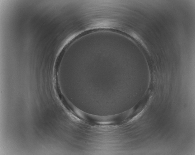 X0000065951077200603061118