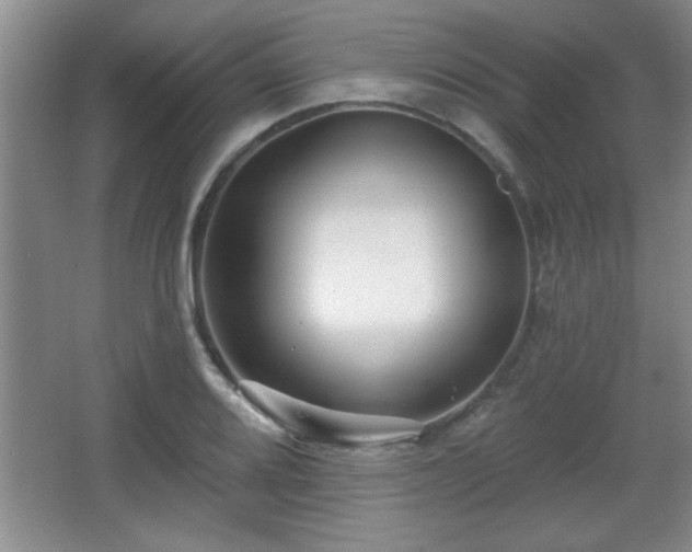 X0000065951080200603061118