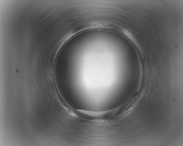X0000065951089200603061118