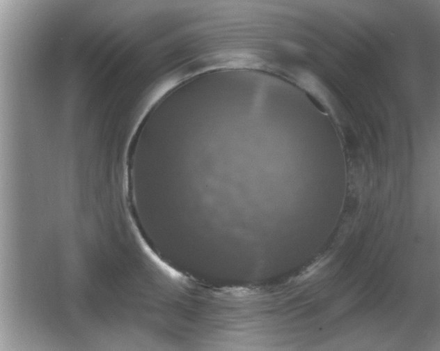X0000065951095200603061118