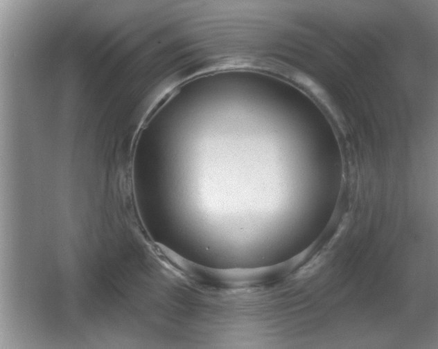 X0000065951097200603061118