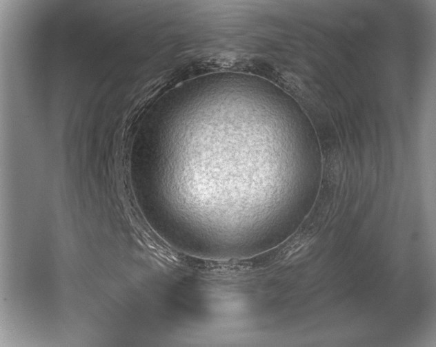 X0000065951105200603061117