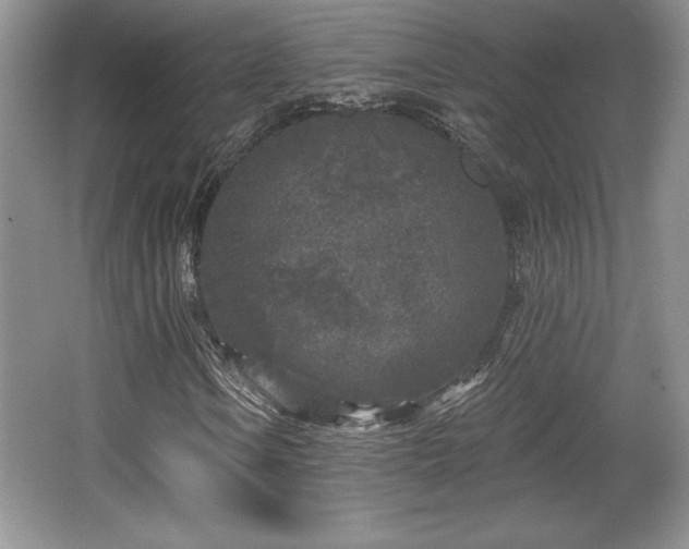 X0000065951106200603061117