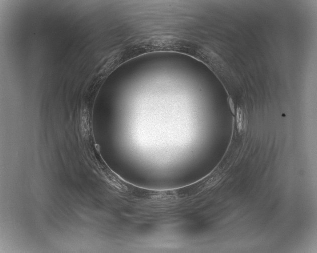 X0000065951107200603061117