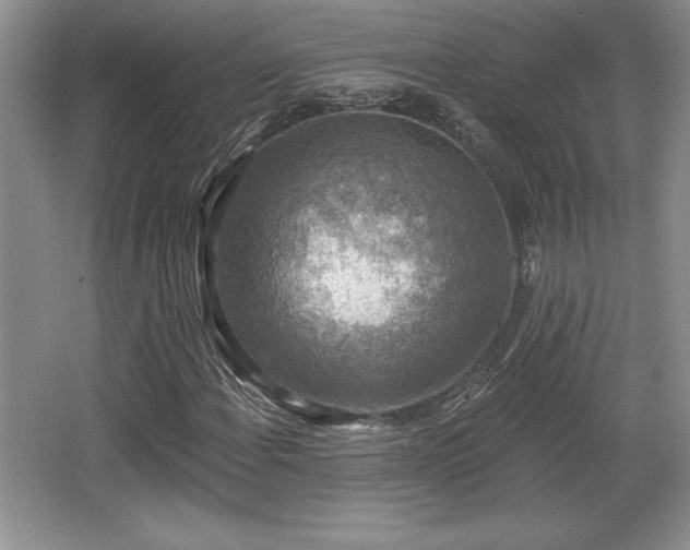 X0000065951108200603061117