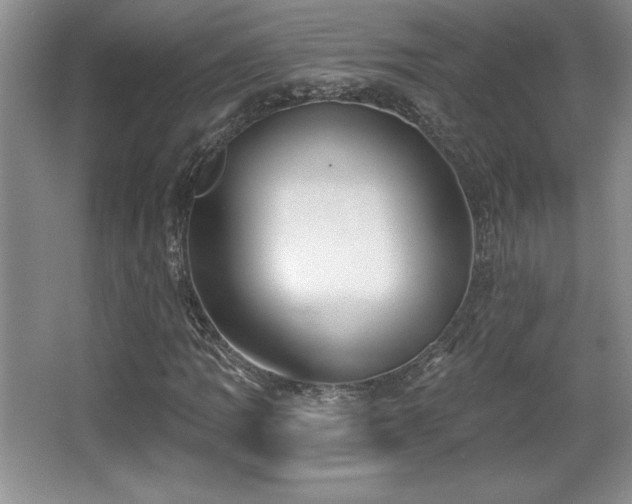 X0000065951109200603061117