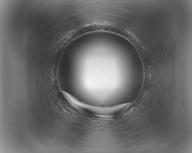 X0000065951110200603061117