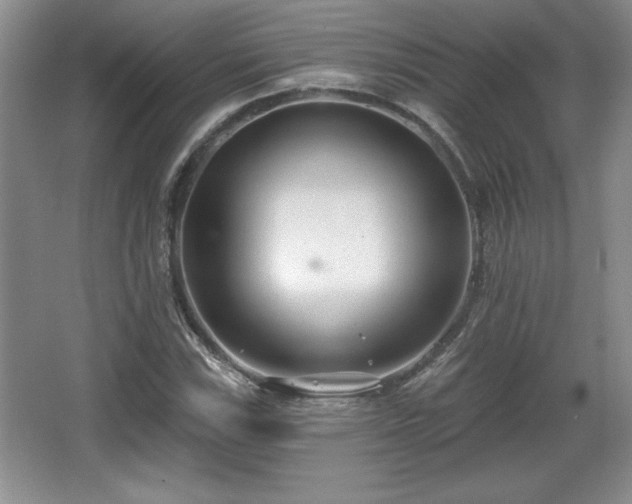 X0000065951115200603061117