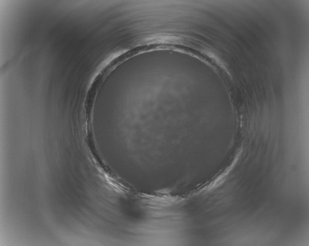 X0000065951117200603061117