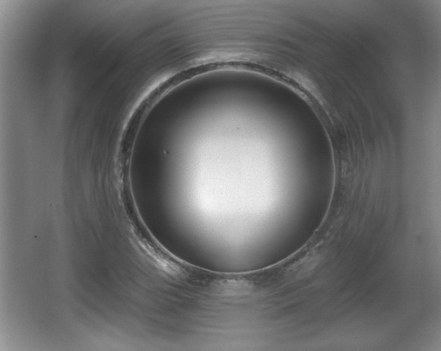 X0000065951119200603061117
