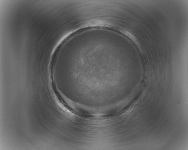 X0000065951120200603061117