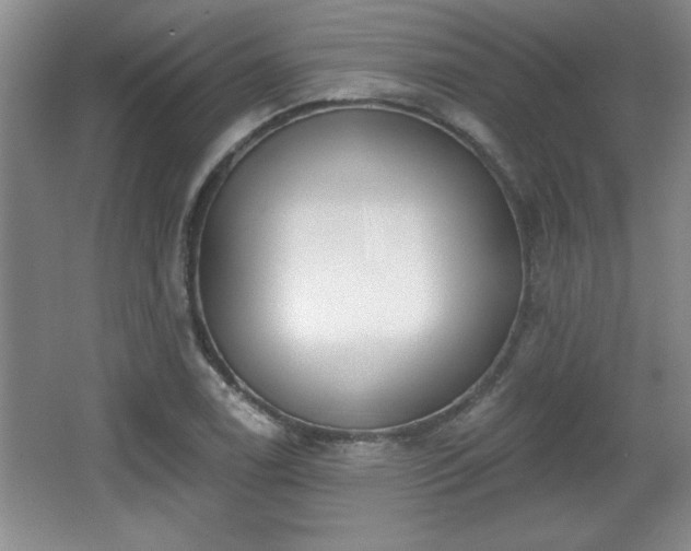 X0000065951122200603061117