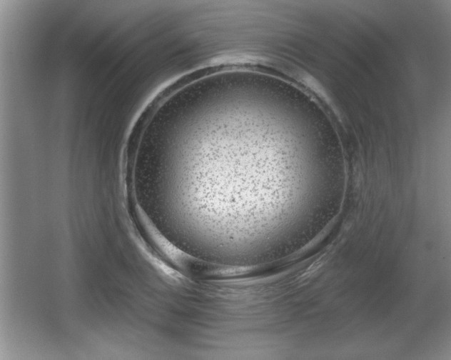 X0000065951124200603061117