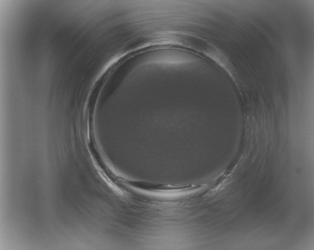 X0000065951127200603061117