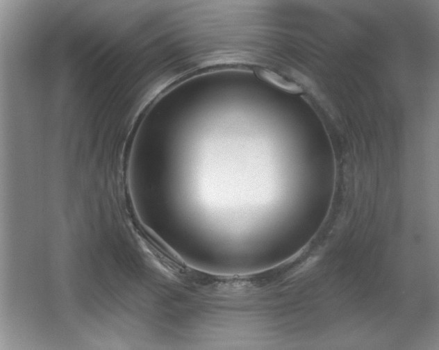 X0000065951129200603061117