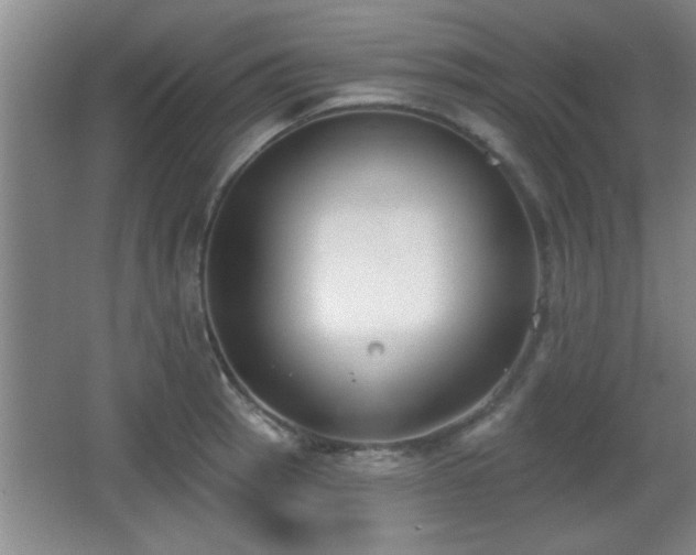 X0000065951137200603061117