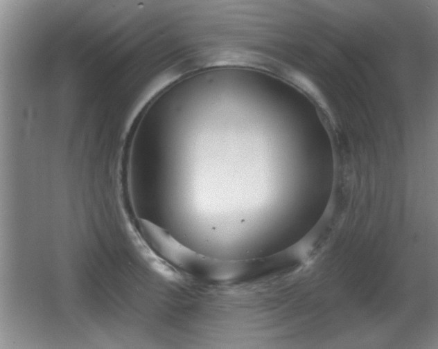 X0000065951138200603061117