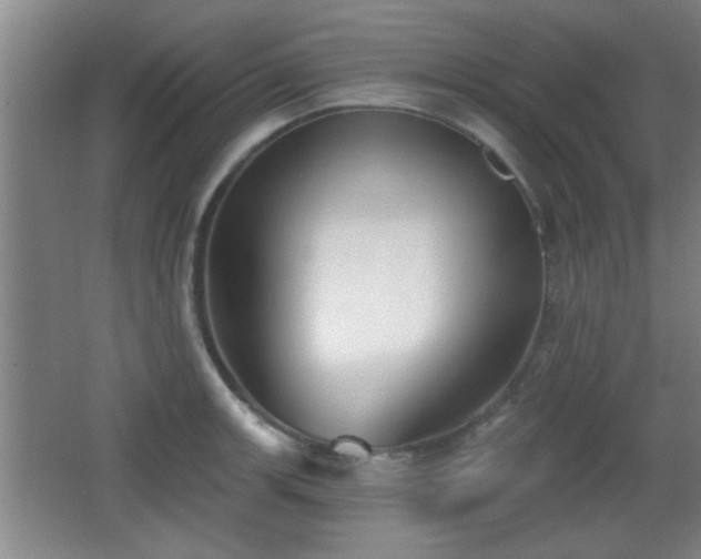 X0000065951139200603061118