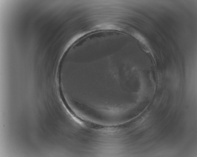 X0000065951141200603061118