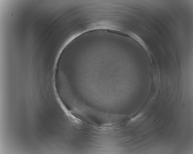 X0000065951144200603061118