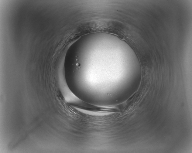X0000065951153200603061117