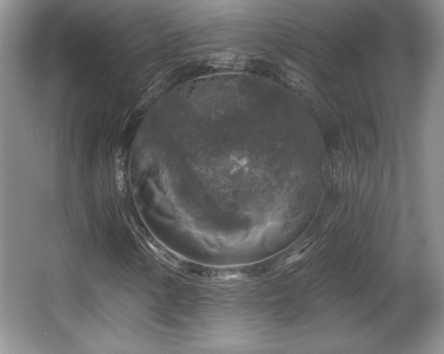 X0000065951154200603061117