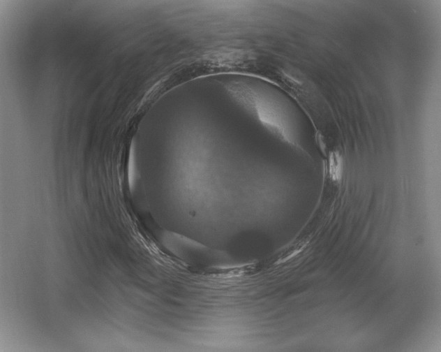 X0000065951155200603061117