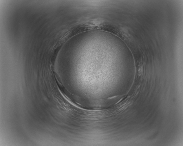 X0000065951156200603061117