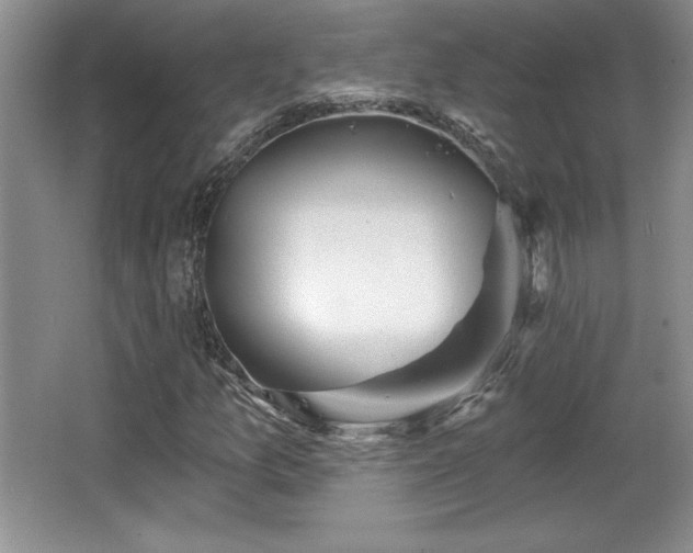 X0000065951157200603061117