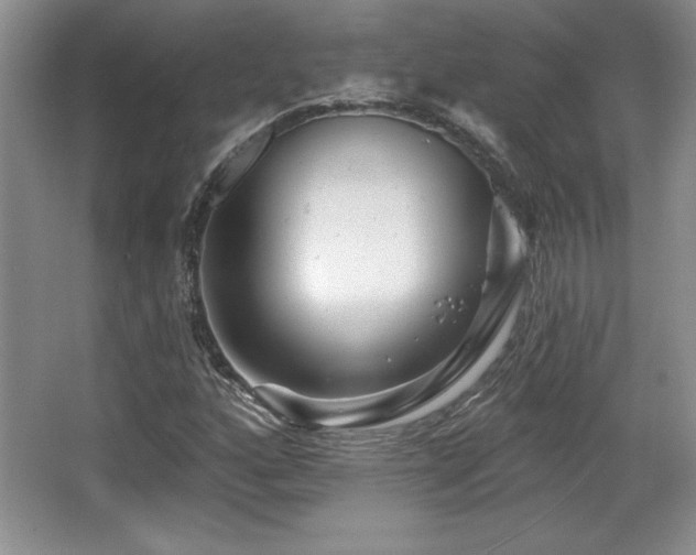 X0000065951160200603061117
