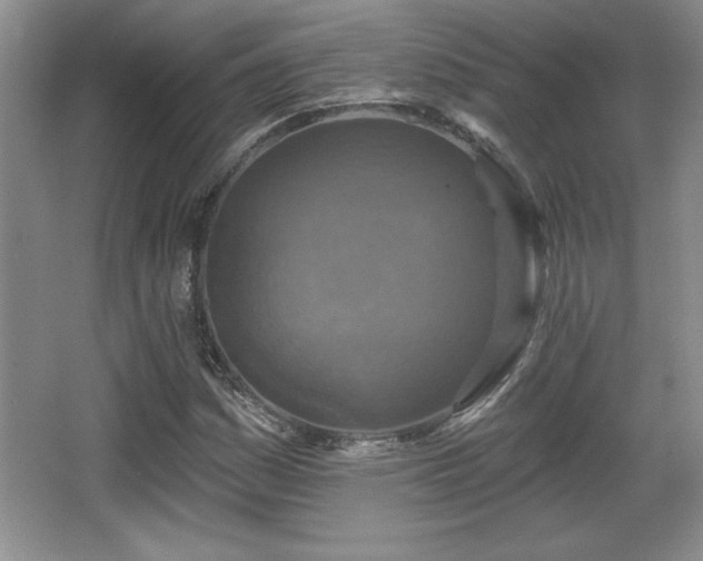 X0000065951161200603061117