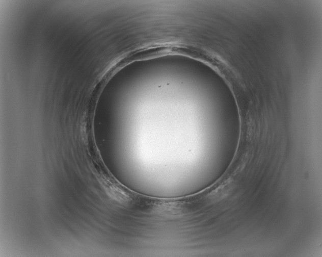 X0000065951162200603061117
