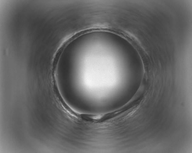 X0000065951168200603061117