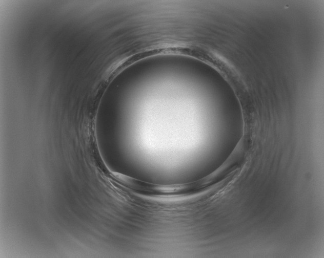 X0000065951169200603061117