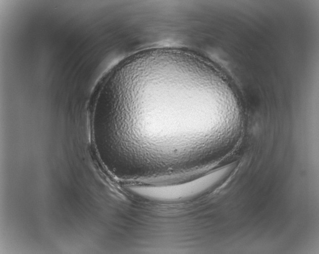 X0000065951171200603061117