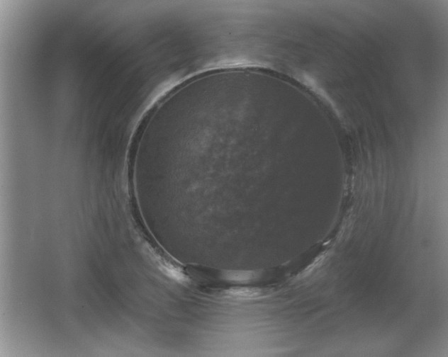 X0000065951173200603061117