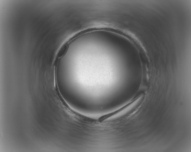 X0000065951175200603061117
