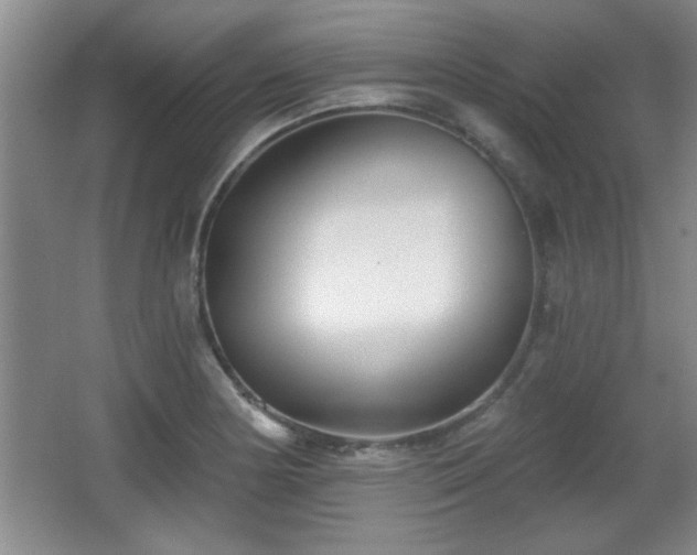 X0000065951178200603061116