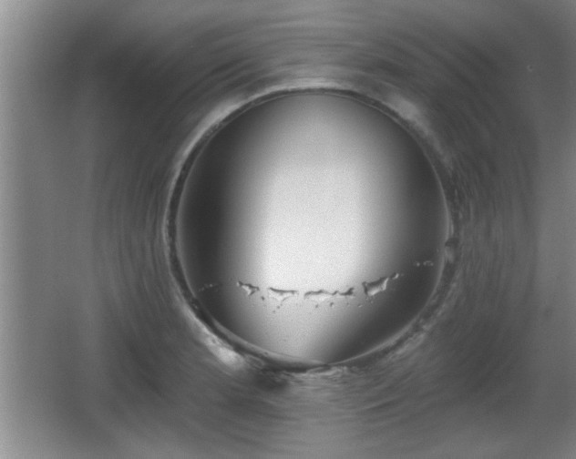 X0000065951181200603061116