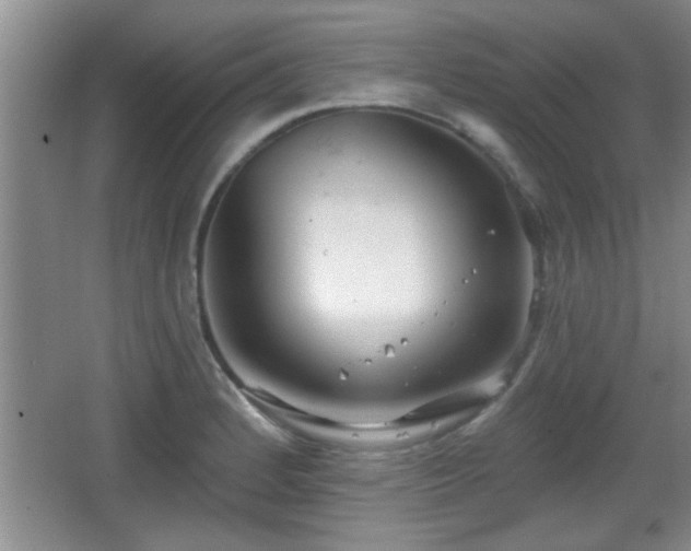 X0000065951184200603061116